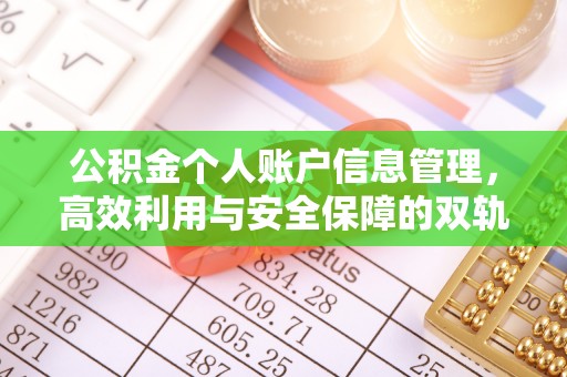 大武口公积金个人账户信息管理，高效利用与安全保障的双轨并行