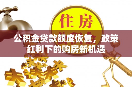 大武口公积金贷款额度恢复，政策红利下的购房新机遇