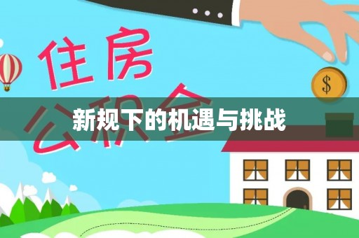 大武口新规下的机遇与挑战