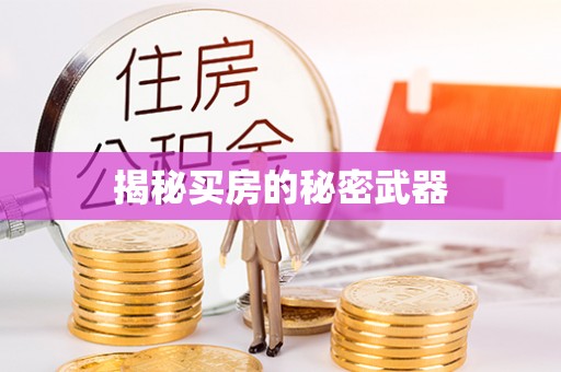 大武口揭秘买房的秘密武器