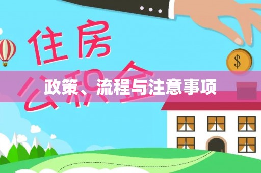 大武口政策、流程与注意事项