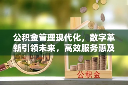 大武口公积金管理现代化，数字革新引领未来，高效服务惠及民生