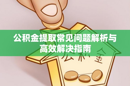 大武口公积金提取常见问题解析与高效解决指南