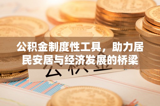 大武口公积金制度性工具，助力居民安居与经济发展的桥梁