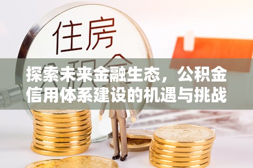 大武口探索未来金融生态，公积金信用体系建设的机遇与挑战
