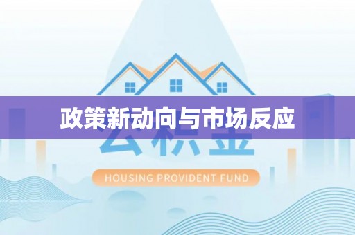 大武口政策新动向与市场反应