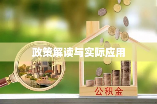 大武口政策解读与实际应用