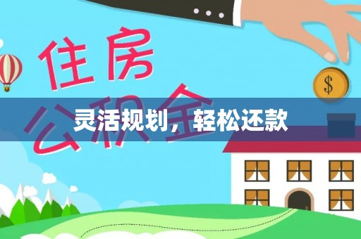 大武口灵活规划，轻松还款