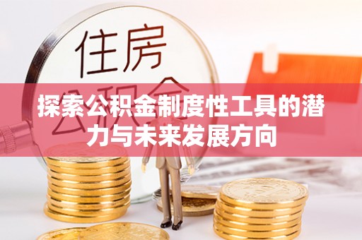 大武口探索公积金制度性工具的潜力与未来发展方向