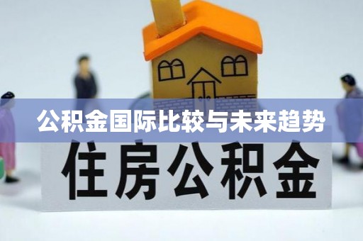 大武口公积金国际比较与未来趋势
