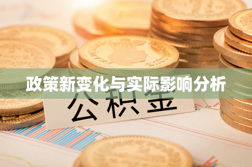 大武口政策新变化与实际影响分析