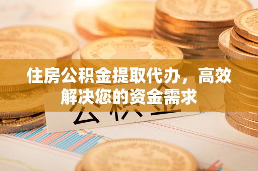 大武口住房公积金提取代办，高效解决您的资金需求