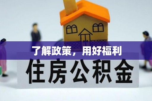 大武口了解政策，用好福利