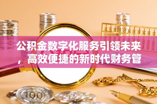 大武口公积金数字化服务引领未来，高效便捷的新时代财务管理