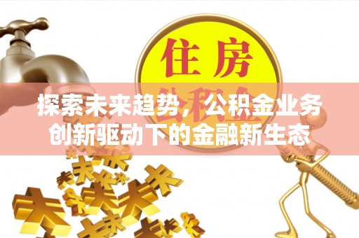 大武口探索未来趋势，公积金业务创新驱动下的金融新生态