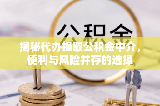 大武口揭秘代办提取公积金中介，便利与风险并存的选择