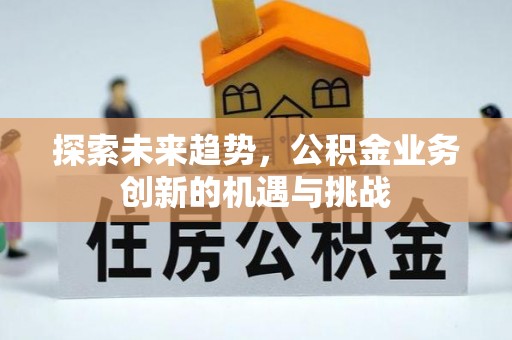 大武口探索未来趋势，公积金业务创新的机遇与挑战