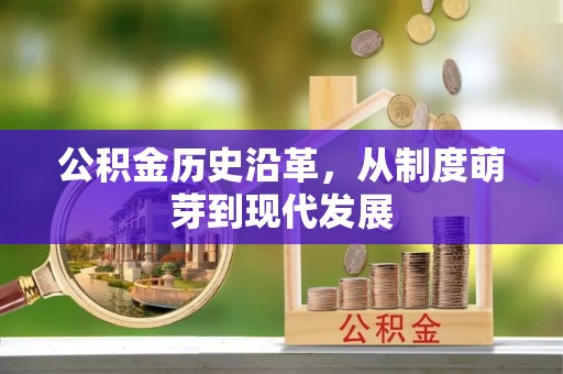 大武口公积金历史沿革，从制度萌芽到现代发展