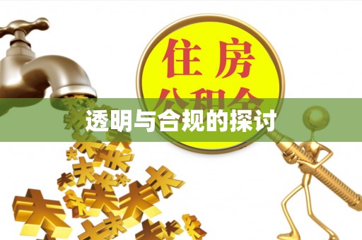 大武口透明与合规的探讨