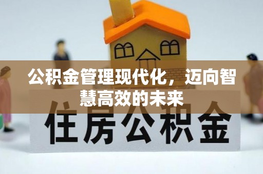 大武口公积金管理现代化，迈向智慧高效的未来