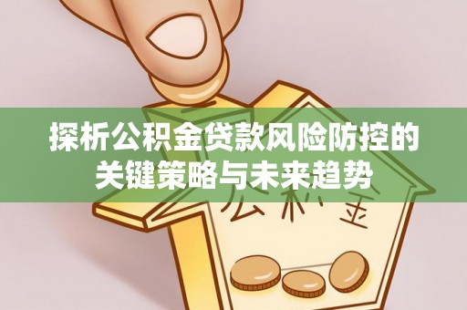 大武口探析公积金贷款风险防控的关键策略与未来趋势