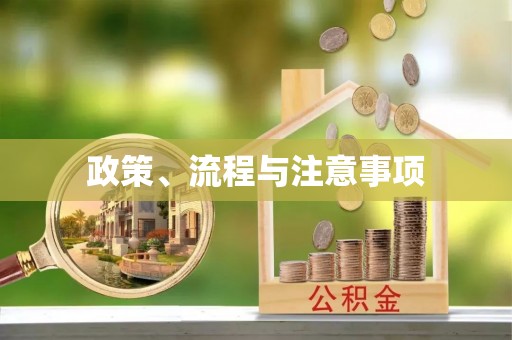 大武口政策、流程与注意事项