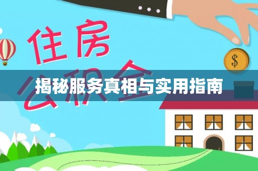 大武口揭秘服务真相与实用指南