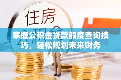 大武口掌握公积金贷款额度查询技巧，轻松规划未来财务