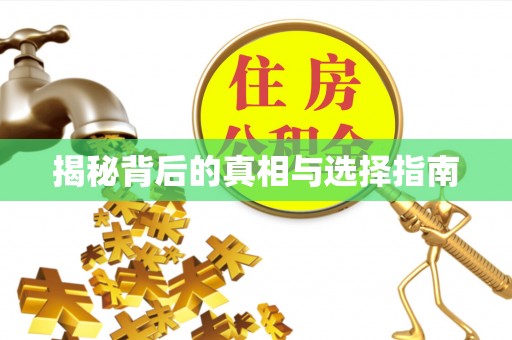 大武口揭秘背后的真相与选择指南