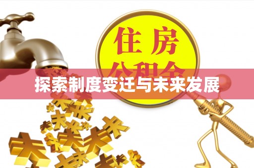 大武口探索制度变迁与未来发展
