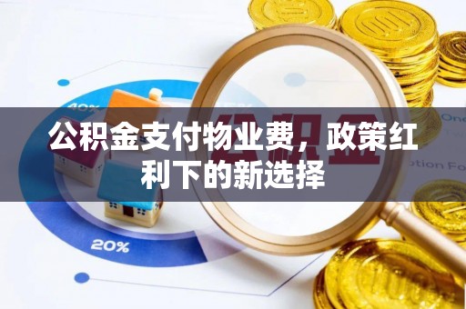 大武口公积金支付物业费，政策红利下的新选择