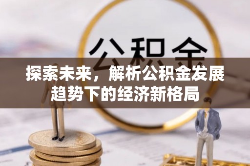大武口探索未来，解析公积金发展趋势下的经济新格局