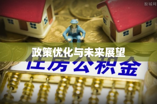 大武口政策优化与未来展望