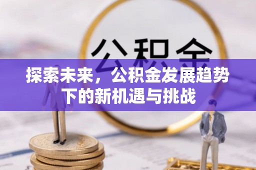 大武口探索未来，公积金发展趋势下的新机遇与挑战