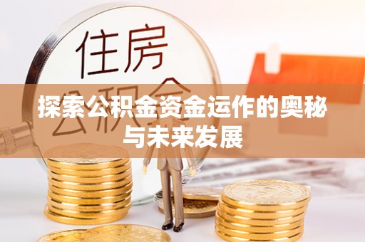 大武口探索公积金资金运作的奥秘与未来发展