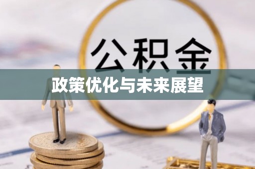 大武口政策优化与未来展望