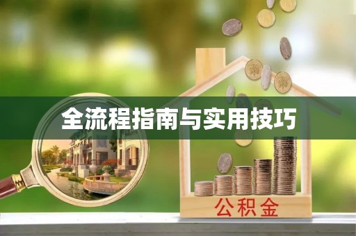 大武口全流程指南与实用技巧