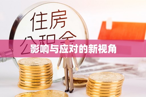 大武口影响与应对的新视角
