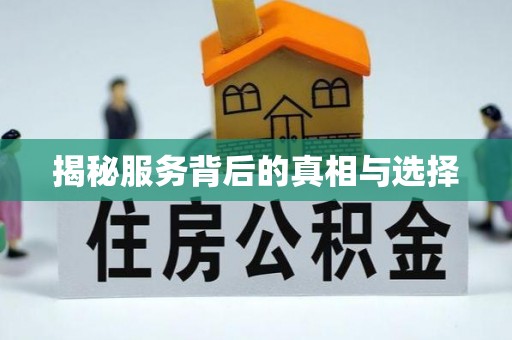 大武口揭秘服务背后的真相与选择