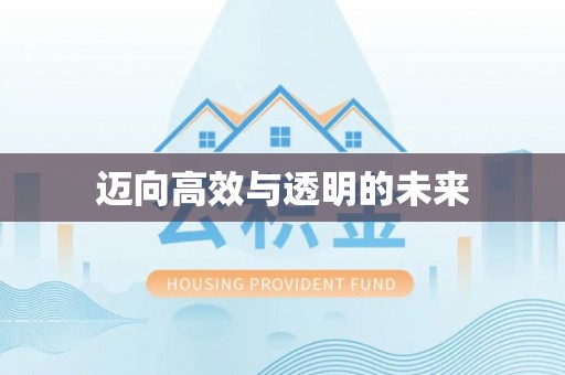 大武口迈向高效与透明的未来