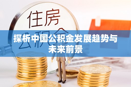 大武口探析中国公积金发展趋势与未来前景