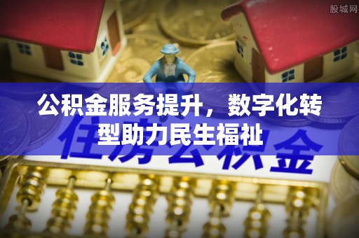 大武口公积金服务提升，数字化转型助力民生福祉