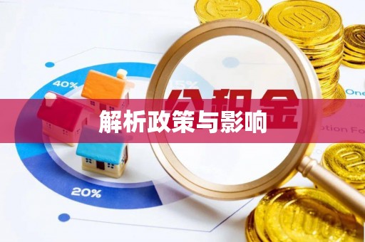 大武口解析政策与影响