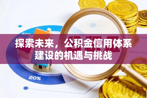 大武口探索未来，公积金信用体系建设的机遇与挑战