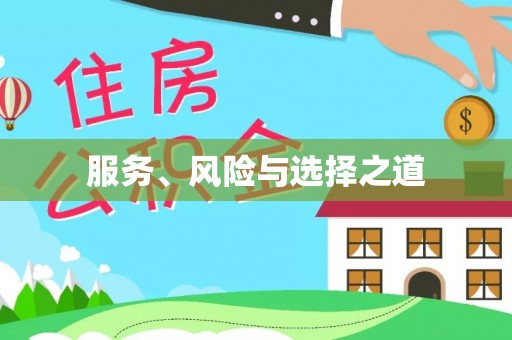 大武口服务、风险与选择之道