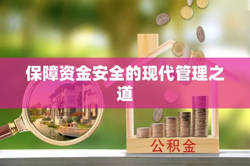 大武口保障资金安全的现代管理之道