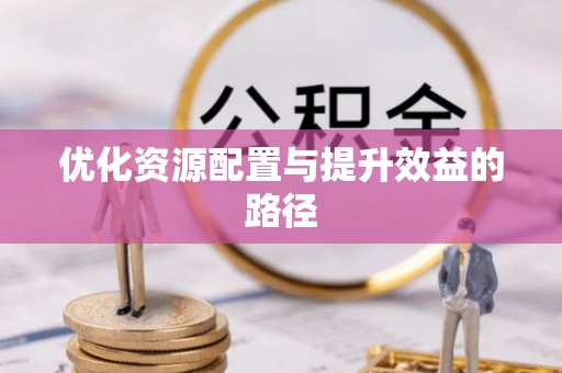 大武口优化资源配置与提升效益的路径