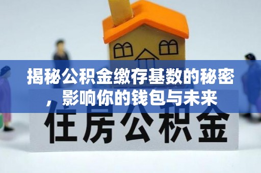 大武口揭秘公积金缴存基数的秘密，影响你的钱包与未来