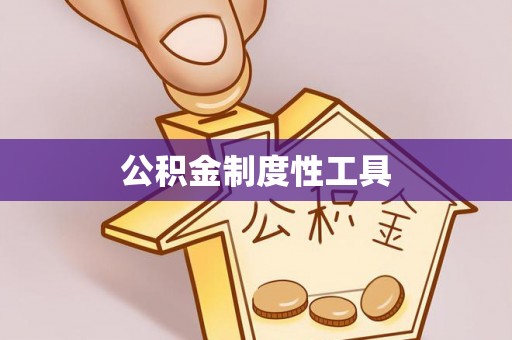 大武口公积金制度性工具