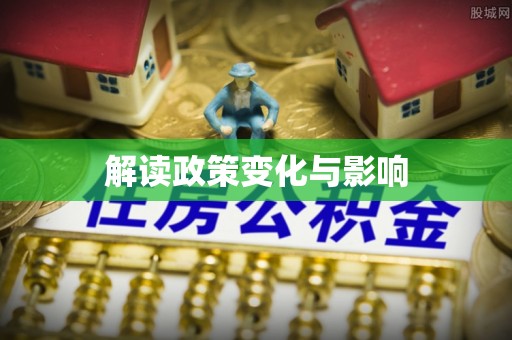 大武口解读政策变化与影响